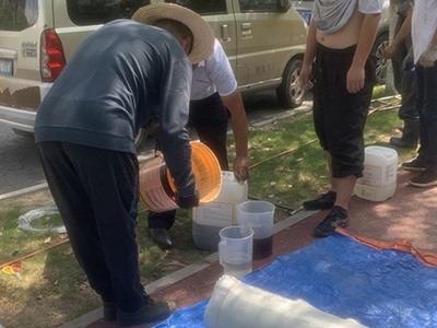 樹脂修復 