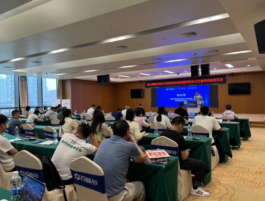 我公司参与2024年第13届百城会-武汉站峰会(图3)